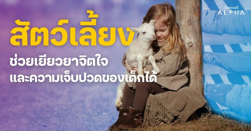 สัตว์เลี้ยงสามารถช่วยเยียวยาจิตใจและความเจ็บปวดของเด็กได้