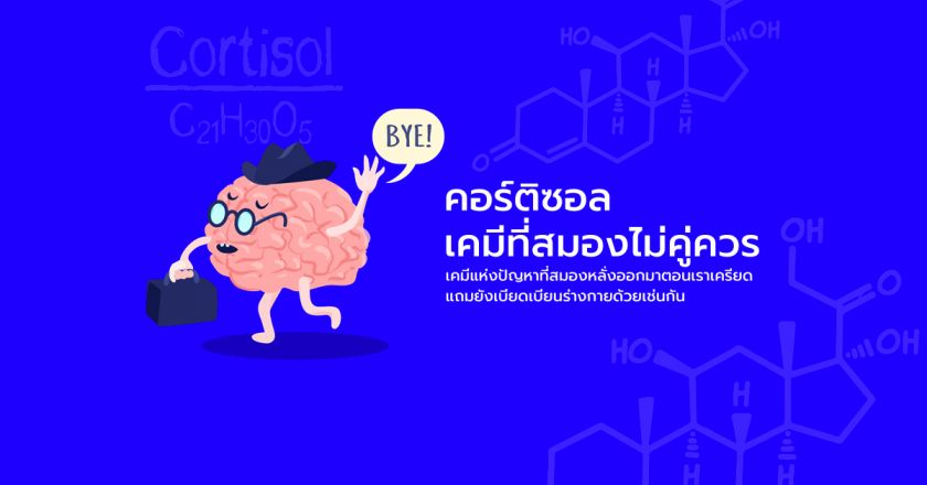 คอร์ติซอล เคมีที่สมองไม่คู่ควร